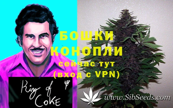 стафф Волоколамск