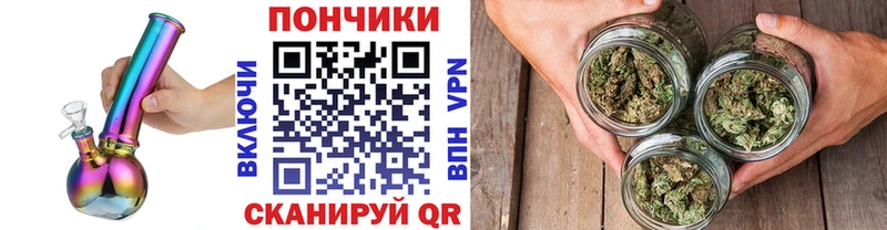 Бошки марихуана Amnesia  где продают   KRAKEN как войти  Дигора 
